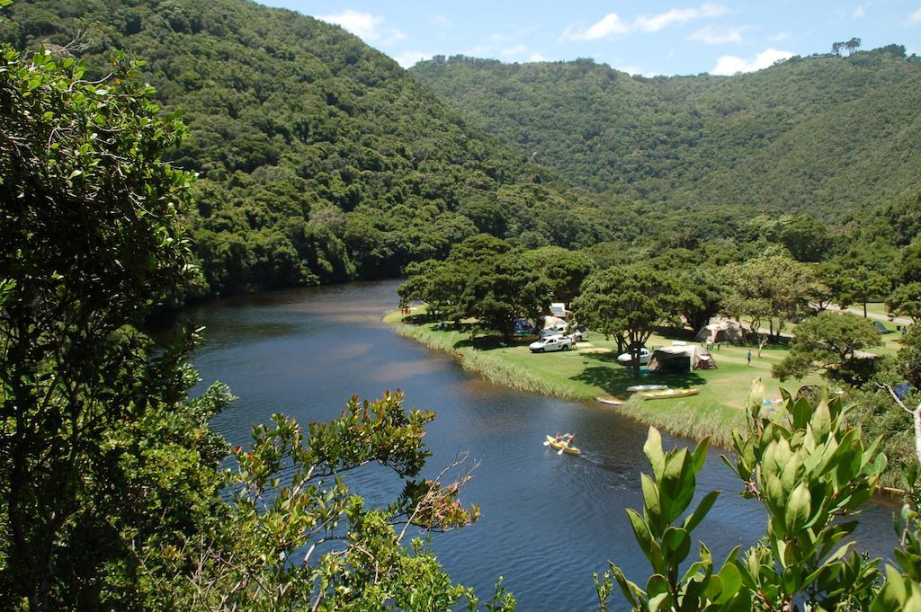 Fairy Knowe Backpackers Lodge Wildernis Exterior foto
