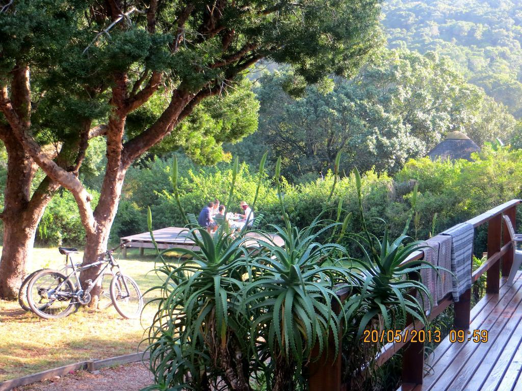 Fairy Knowe Backpackers Lodge Wildernis Exterior foto