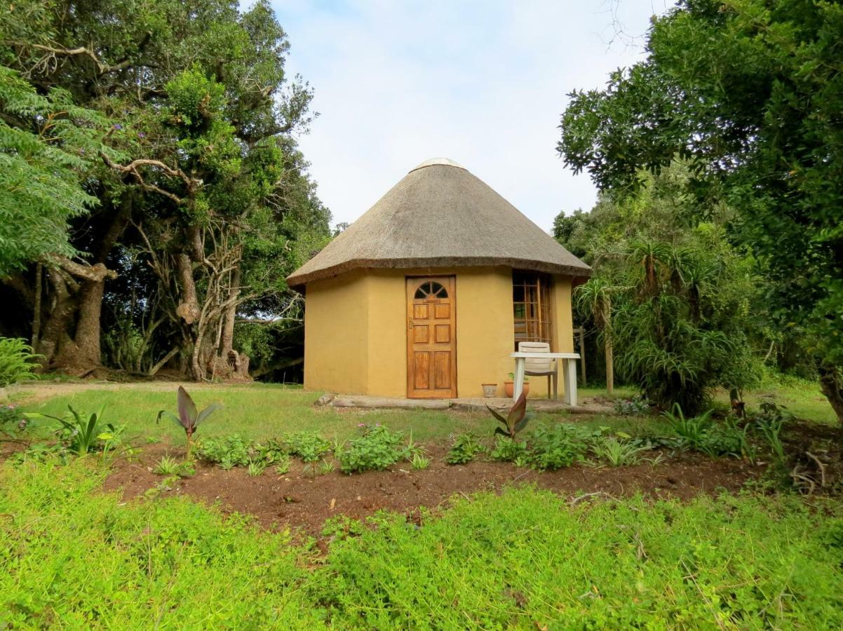Fairy Knowe Backpackers Lodge Wildernis Exterior foto