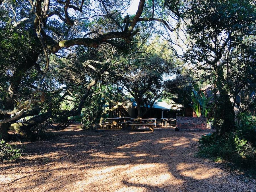 Fairy Knowe Backpackers Lodge Wildernis Exterior foto